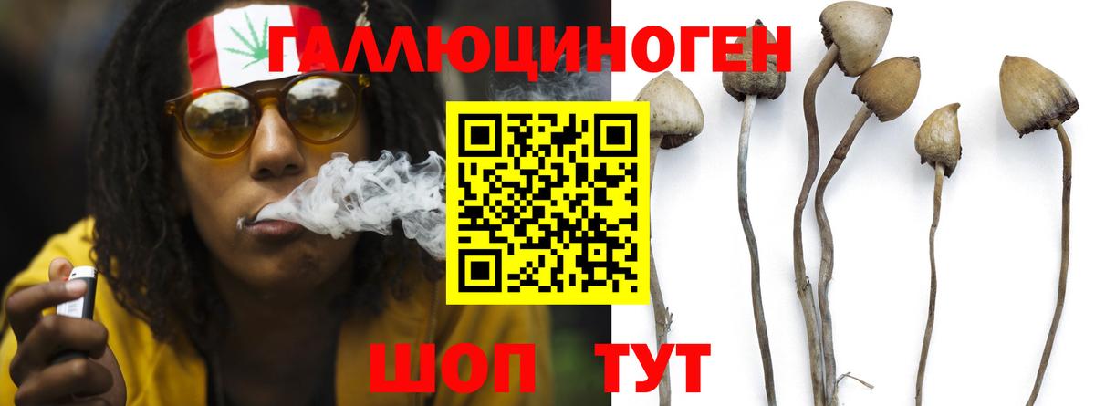 Галлюциногенные грибы прущие грибы  Псилоцибиновые грибы Psilocybine cubensis  даркнет сайт  Ишим  Вход с VPN 